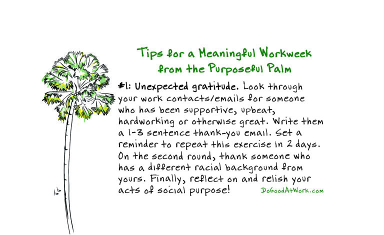 Meaning through gratitude